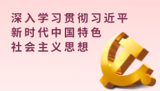 深入學(xué)習(xí)貫徹習(xí)近平新時(shí)代中國(guó)特色社會(huì)主義思想